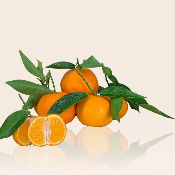 Mandarinai su lapeliais, vaisiai į namus