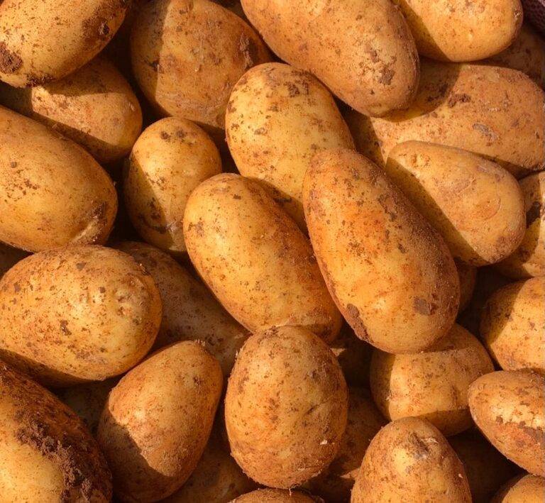 Bulvės, daržovės internetu